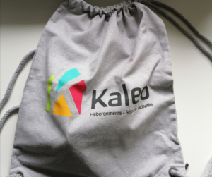 L’ASBL Kaleo recherche un.e Chargé.e de projets administratifs